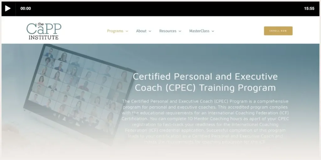 Screenshot of CaPP institute website