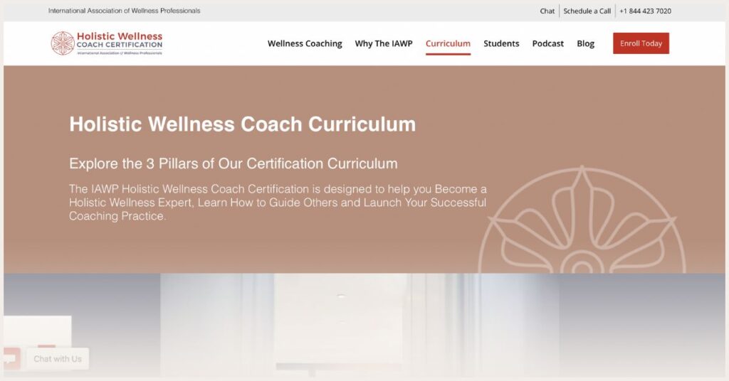 Screenshot of International Association of Wellness Professionals website