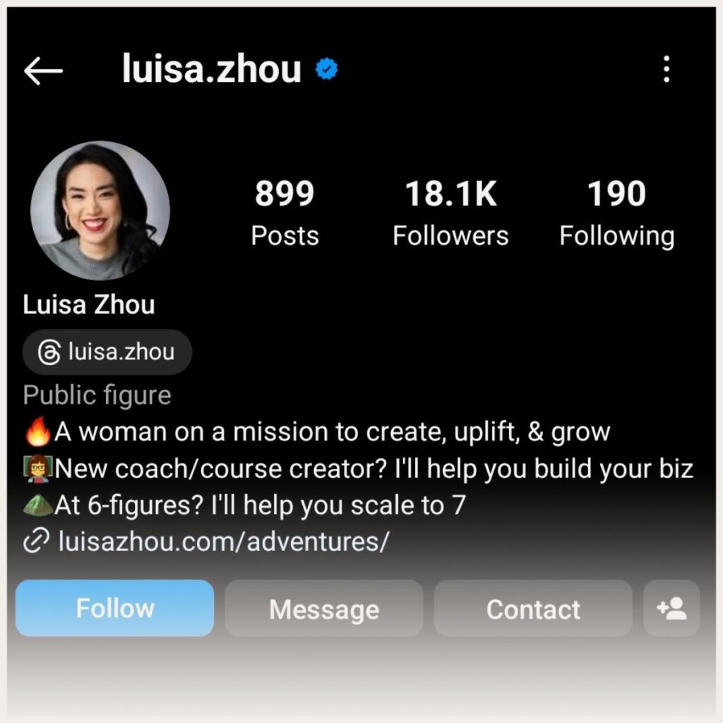 Screenshot of Luisa Zhou's Instagram profile 